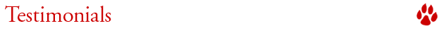 Testimonials