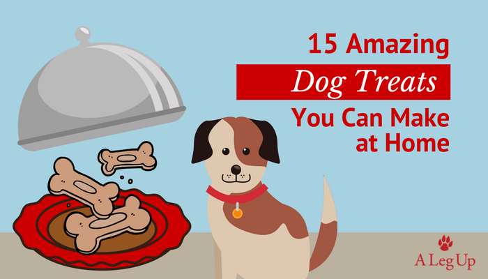 15 Amazing Dog Treats You Can Make at Home