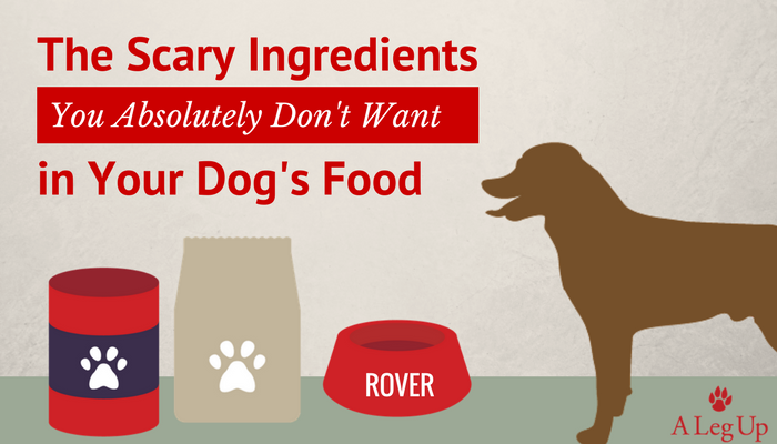 Bad Ingredients in Dog Food