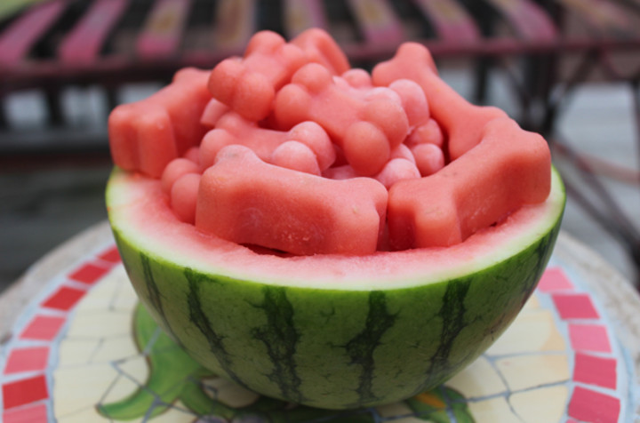 Frosty Watermelon Dog Treat Recipe