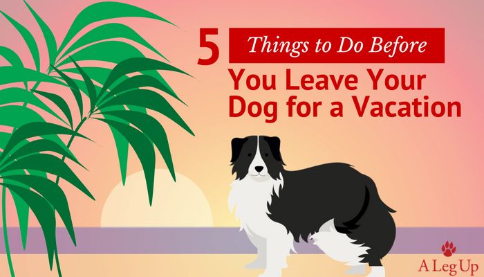 What to do before you leave your dog for a vacation