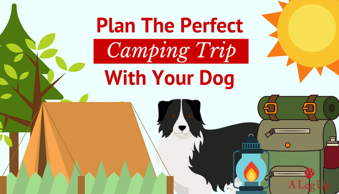 how to plan a camping trip