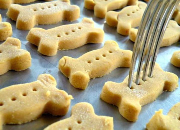 Cleo’s Pumpkin Dog Biscuits