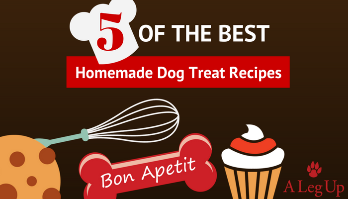 The_Best_Dog_Treat_Recipes